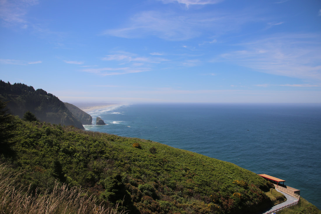 View along coast from Sea Lion Caves