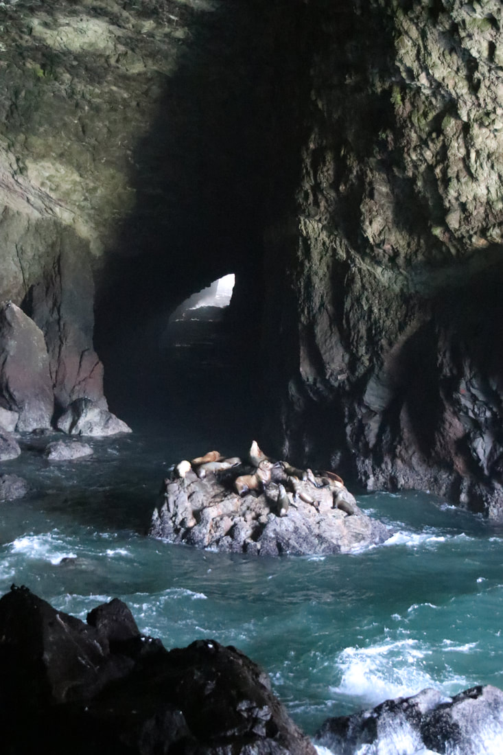 Inside Sea Lion Caves